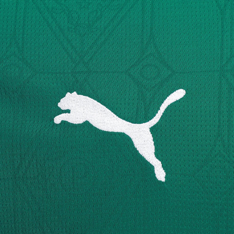 Camisa Palmeiras 25/26 I Home - Versão Torcedor