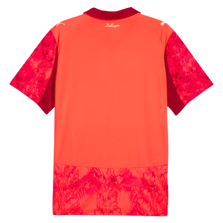 Camisa Palmeiras 25/26 II Edição Especial - Versão Torcedor